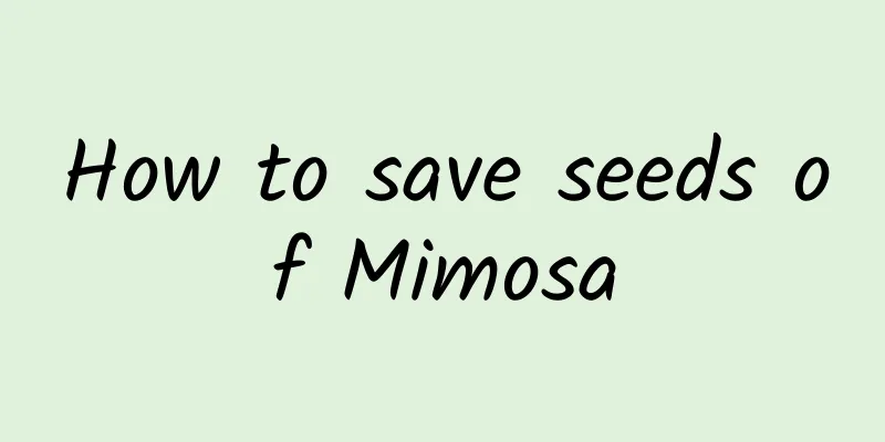 How to save seeds of Mimosa