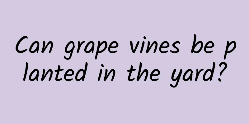 Can grape vines be planted in the yard?