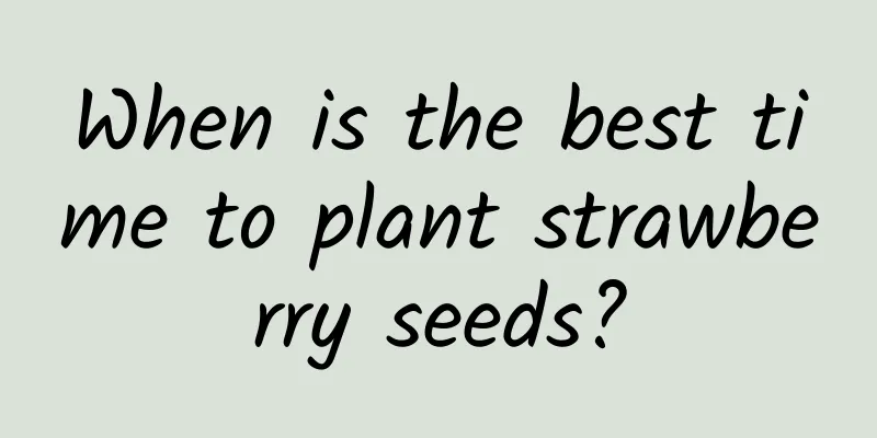 When is the best time to plant strawberry seeds?