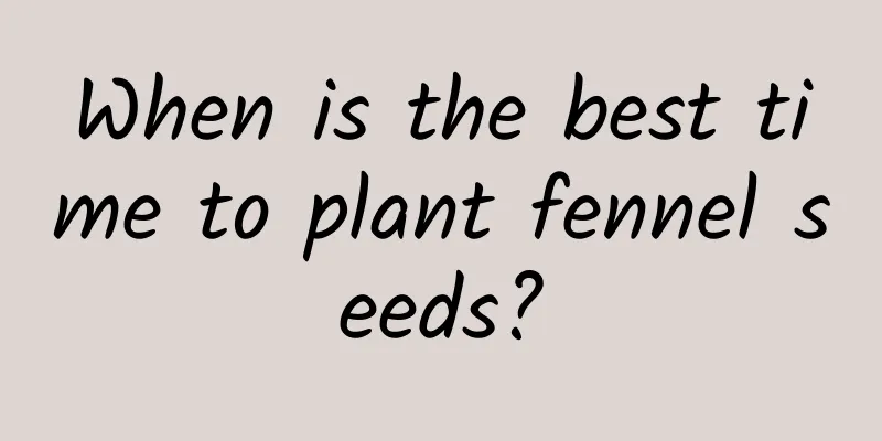 When is the best time to plant fennel seeds?