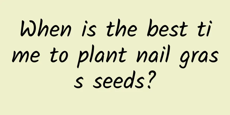 When is the best time to plant nail grass seeds?