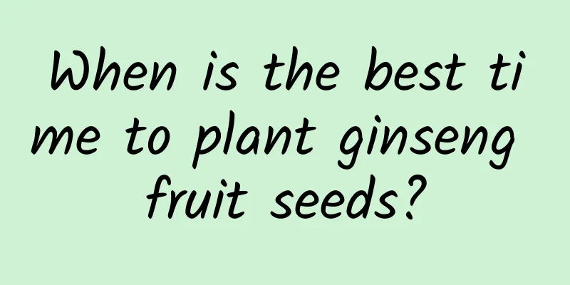 When is the best time to plant ginseng fruit seeds?