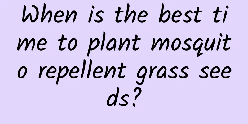 When is the best time to plant mosquito repellent grass seeds?
