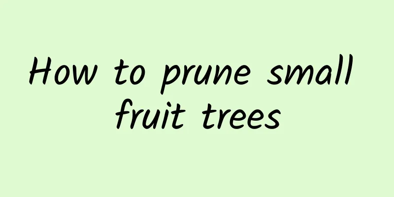 How to prune small fruit trees