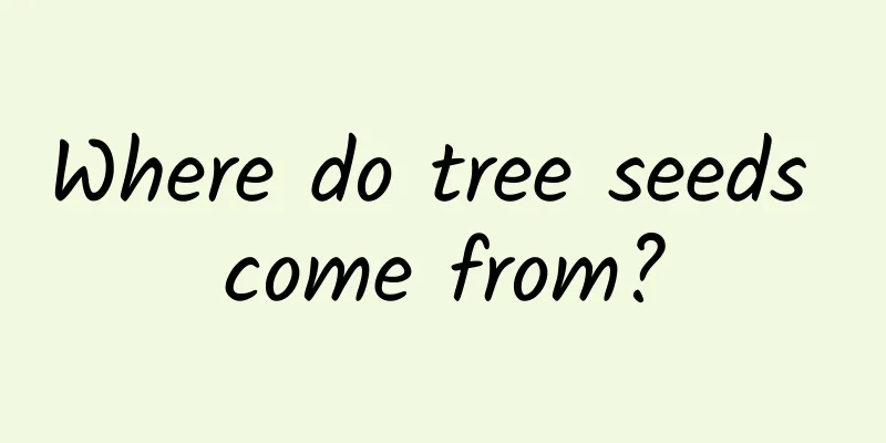 Where do tree seeds come from?