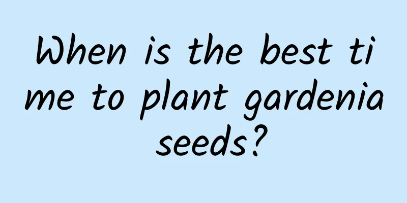 When is the best time to plant gardenia seeds?