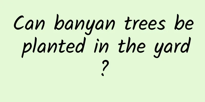 Can banyan trees be planted in the yard?