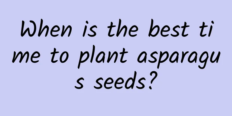 When is the best time to plant asparagus seeds?