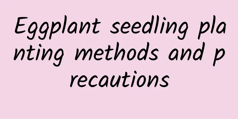 Eggplant seedling planting methods and precautions