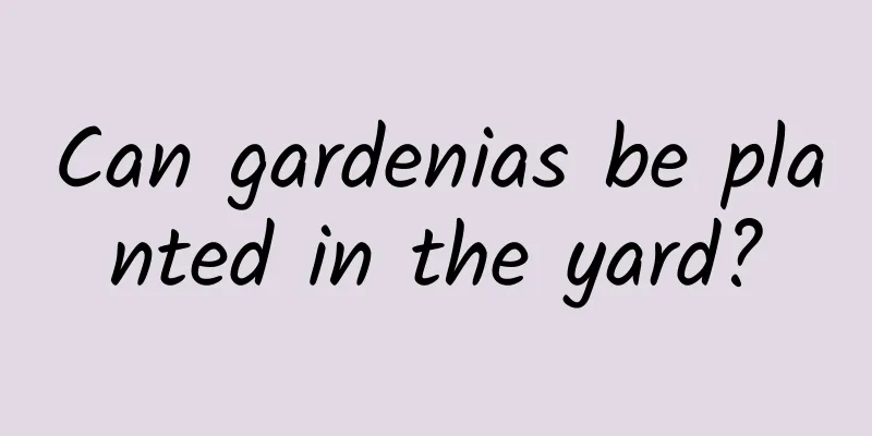 Can gardenias be planted in the yard?