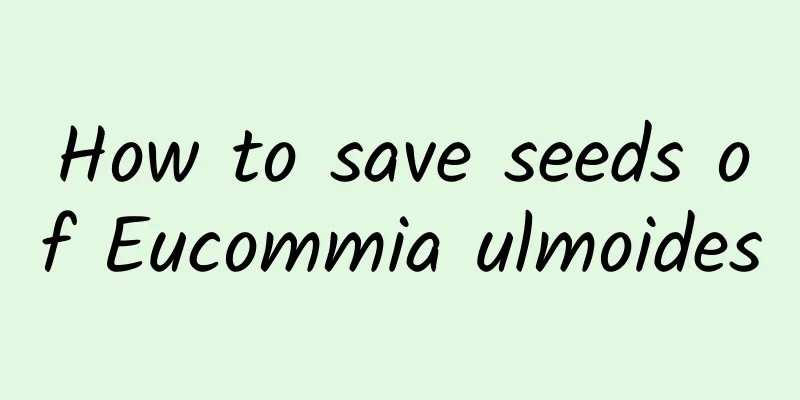 How to save seeds of Eucommia ulmoides