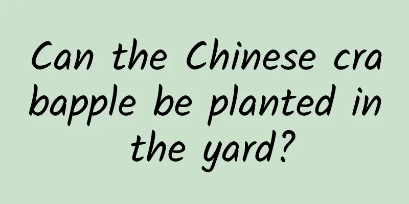 Can the Chinese crabapple be planted in the yard?