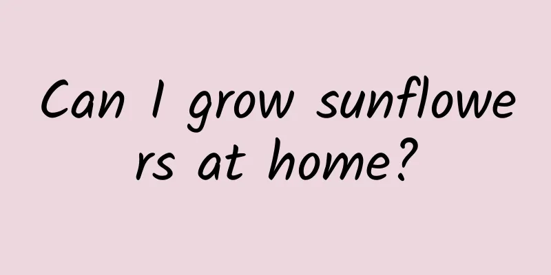 Can I grow sunflowers at home?
