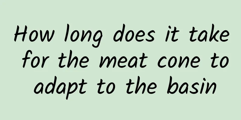 How long does it take for the meat cone to adapt to the basin
