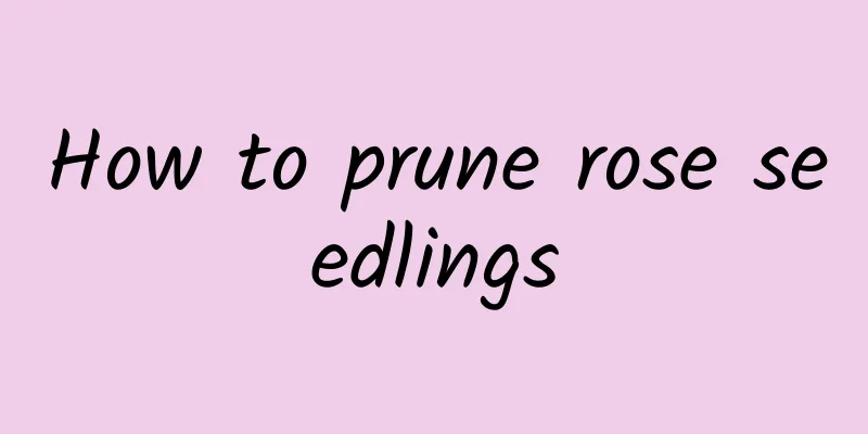 How to prune rose seedlings