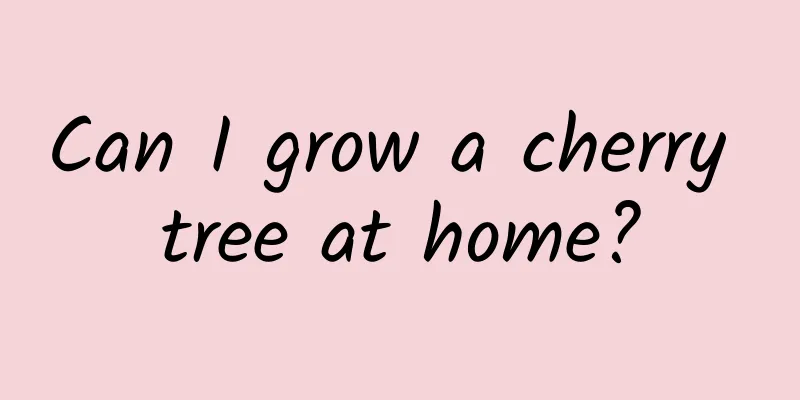 Can I grow a cherry tree at home?