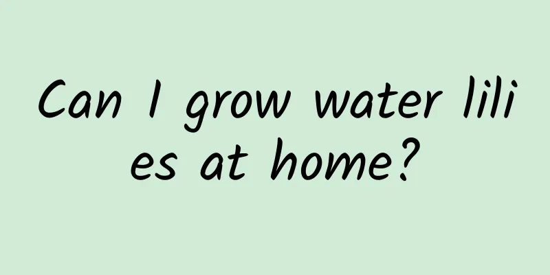 Can I grow water lilies at home?