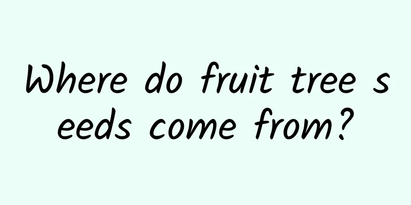 Where do fruit tree seeds come from?