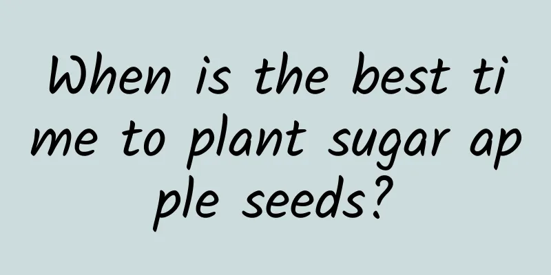 When is the best time to plant sugar apple seeds?