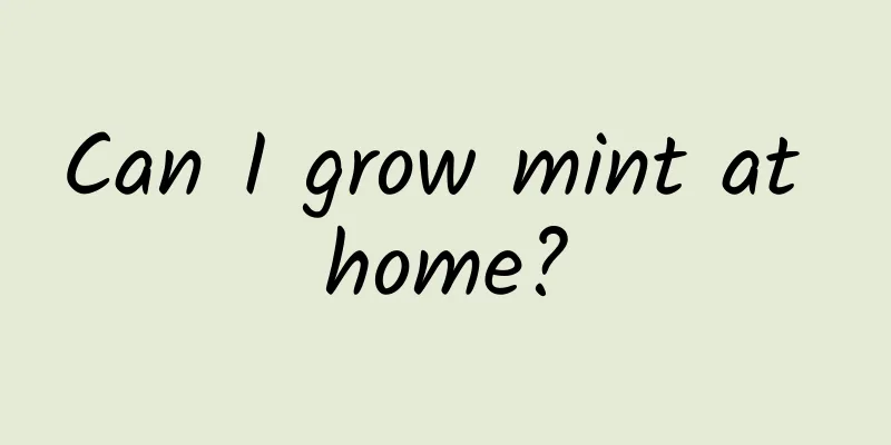 Can I grow mint at home?