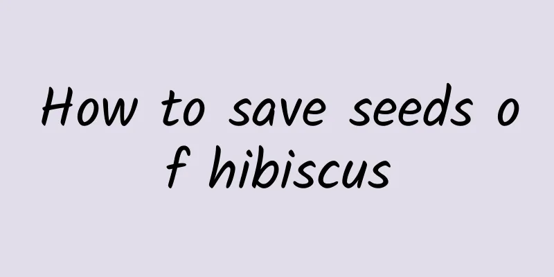 How to save seeds of hibiscus