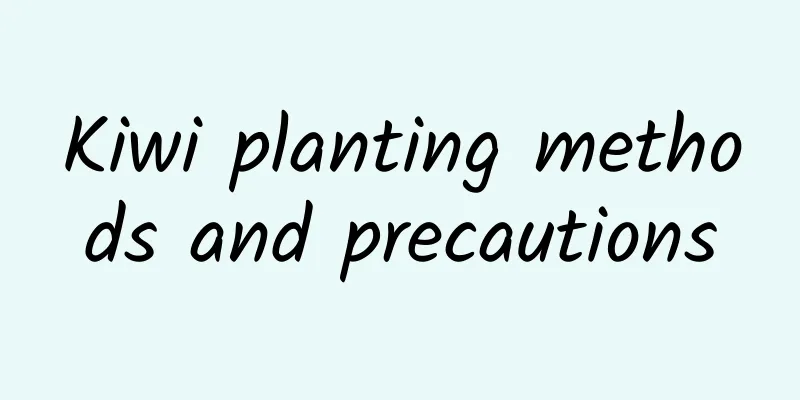 Kiwi planting methods and precautions