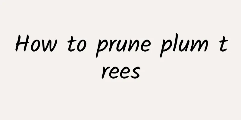 How to prune plum trees