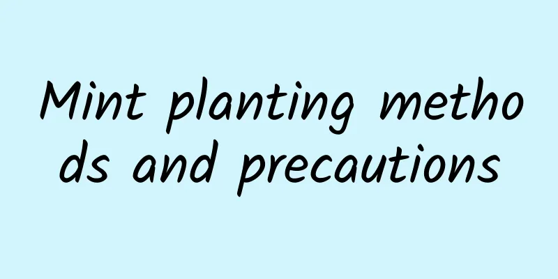 Mint planting methods and precautions