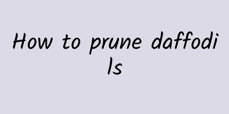 How to prune daffodils