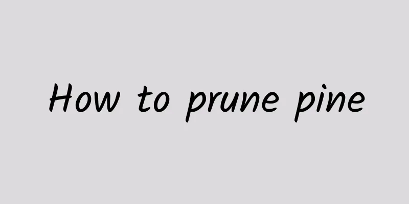 How to prune pine