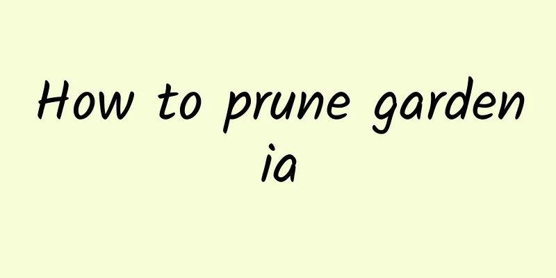 How to prune gardenia