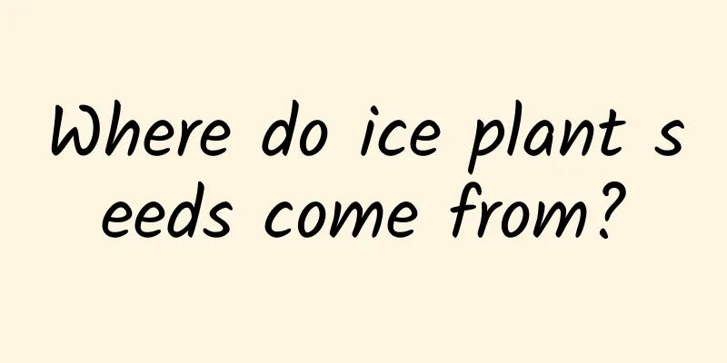Where do ice plant seeds come from?