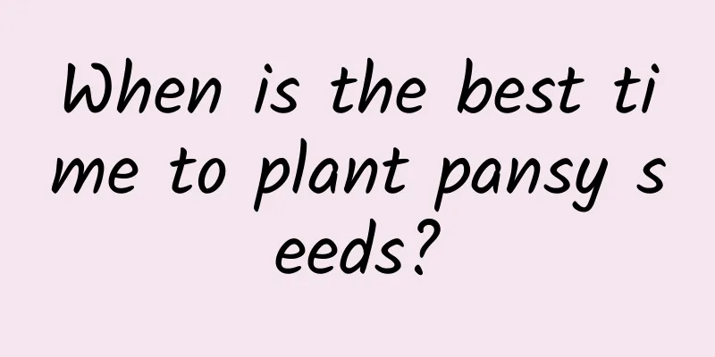 When is the best time to plant pansy seeds?