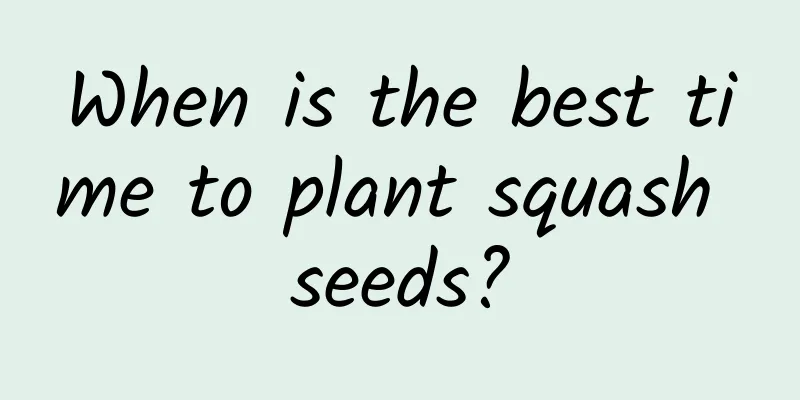 When is the best time to plant squash seeds?