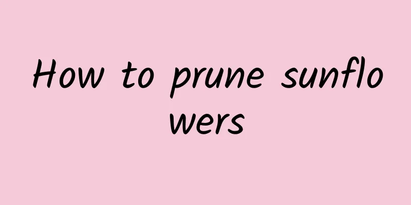How to prune sunflowers
