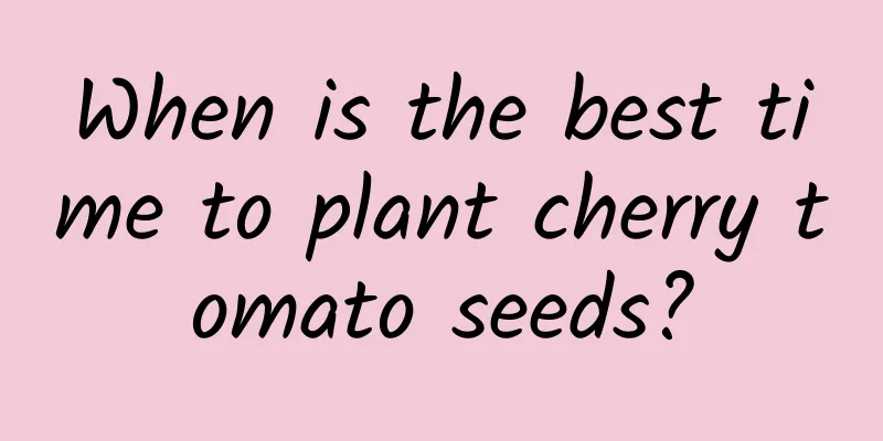 When is the best time to plant cherry tomato seeds?