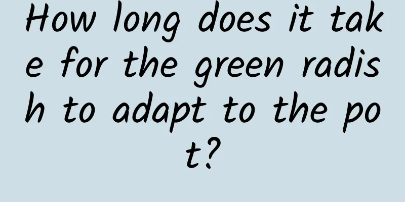 How long does it take for the green radish to adapt to the pot?