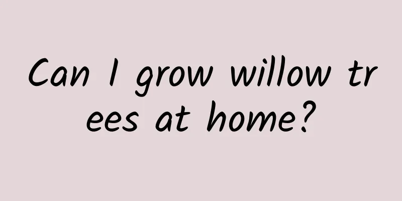 Can I grow willow trees at home?