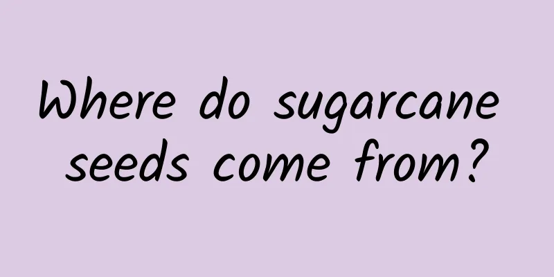 Where do sugarcane seeds come from?
