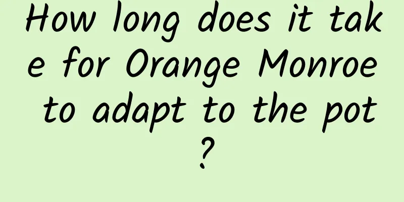 How long does it take for Orange Monroe to adapt to the pot?
