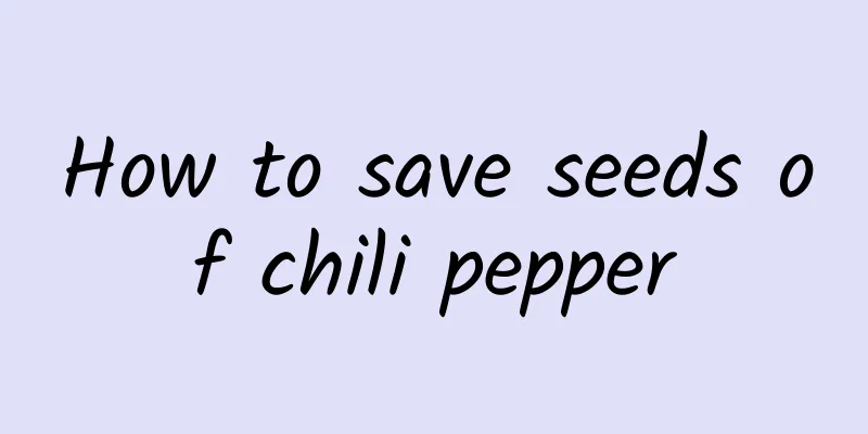 How to save seeds of chili pepper