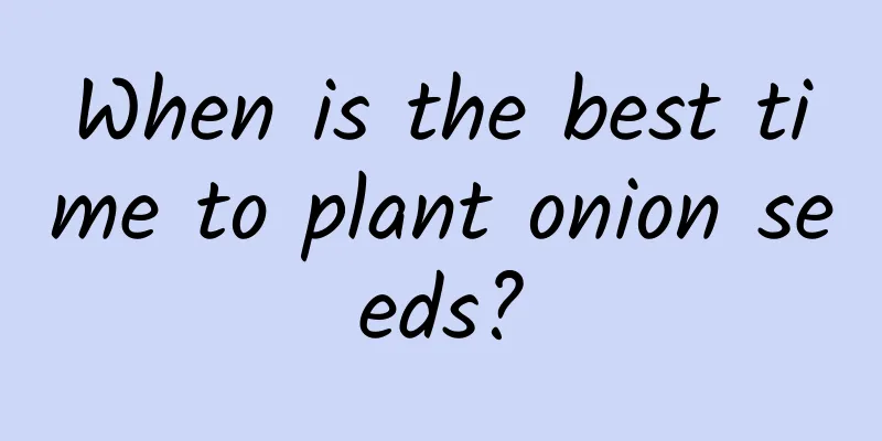 When is the best time to plant onion seeds?