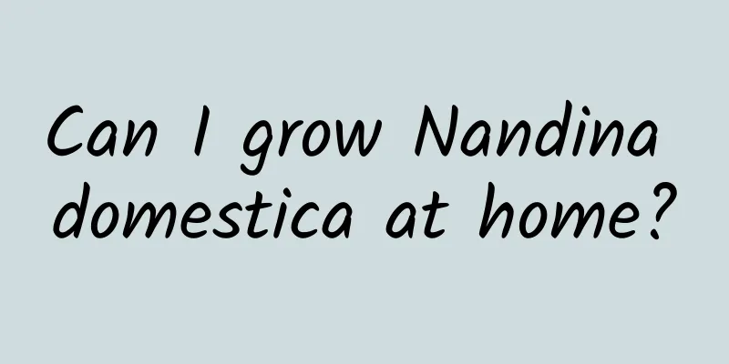 Can I grow Nandina domestica at home?