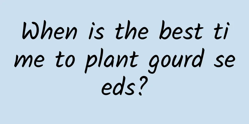 When is the best time to plant gourd seeds?