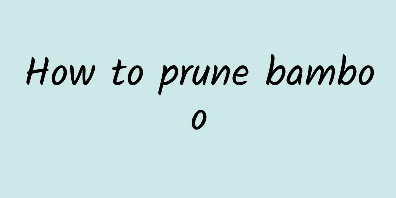 How to prune bamboo