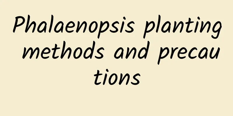 Phalaenopsis planting methods and precautions