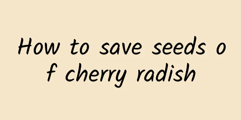 How to save seeds of cherry radish