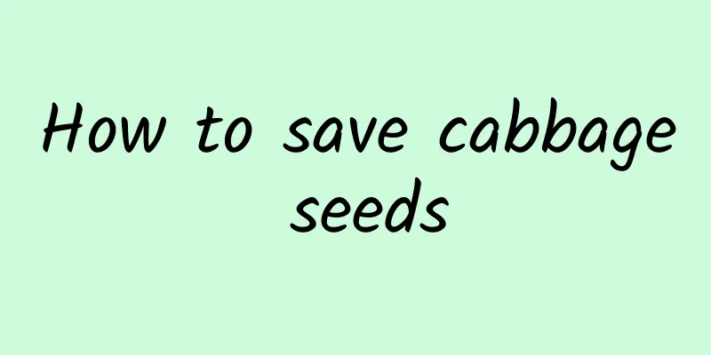 How to save cabbage seeds