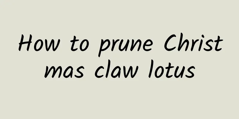 How to prune Christmas claw lotus