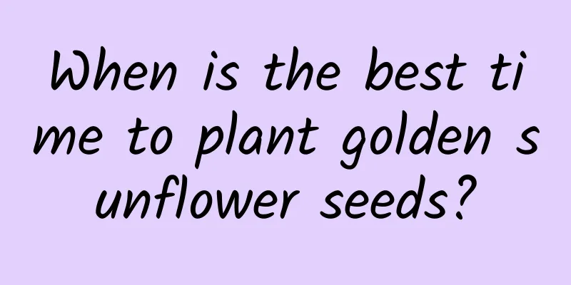 When is the best time to plant golden sunflower seeds?
